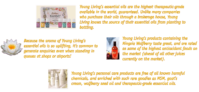 Legitimate home based business