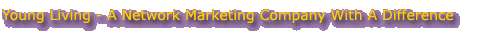 Best rated home based business