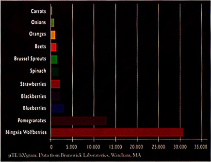 Foods high in antioxidants